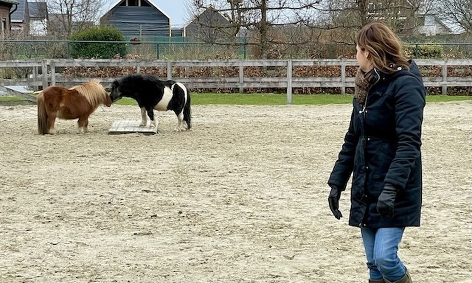 Paardencoaching Rian